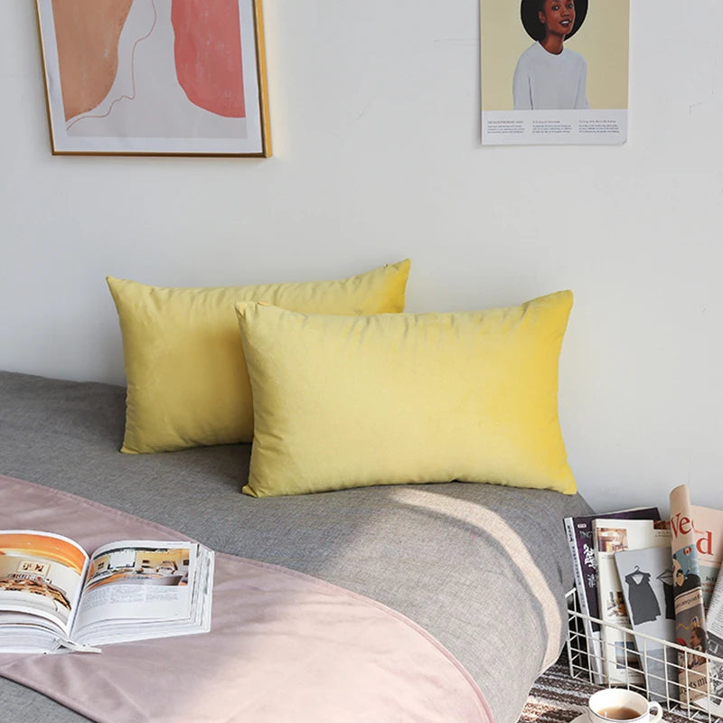 Velvet Lumber Pillow  Cojines